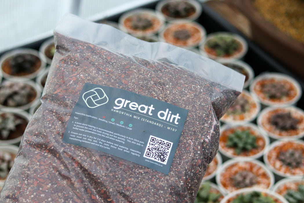 Great Dirt - 5 litre Haworthia Soil